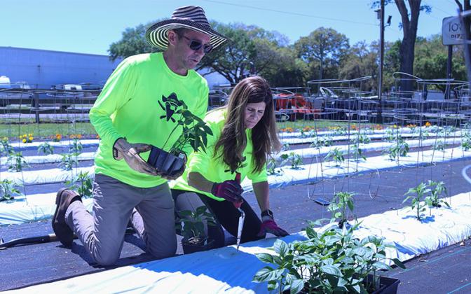 Matt and Angie Klabacka work in the garden next their restaurant on T.J. Courson Road. Photo by Ashley Chandler/News-Leader