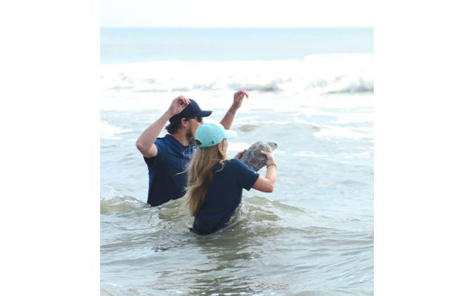 Members of the Jekyll Island Authority’s Georgia Sea Turtle Center released three sea turtles back to the ocean after rehabilitation. Amelia Island Sea Turtle Watch coordinated the event with the center, the city of Fernandina Beach and Keep Nassau Beautiful to make the release happen. The event was part of the Wild Amelia Festival, ongoing until Saturday.  Photo by Ashley Chandler/News-Leader