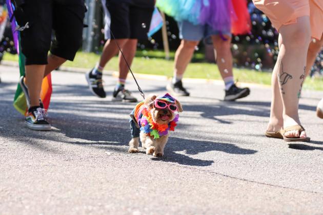 4th Annual Pride Parade. Photo by Ashley Chandler/News-Leader