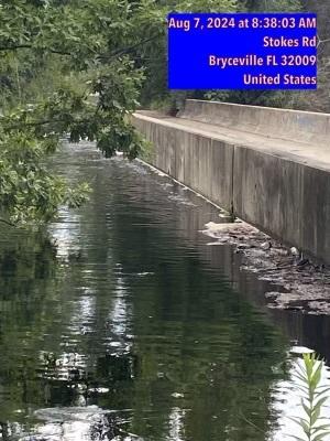 Nassau County has extended its State of Emergency to allow time to inspect the bridge at Stokes Road for damage. The St. Marys River still is too high to assess for potential damage and need for repairs on the bridge.  Submitted photo