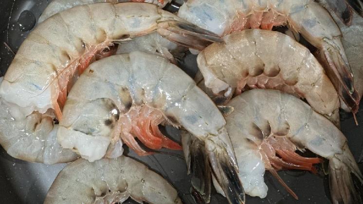 Bicentennial feature of the week in Fernandina, Chesser Seafood's wild-caught shrimp. Submitted photo