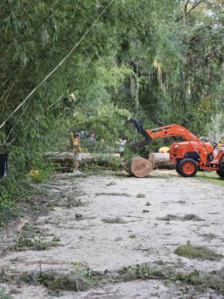 Taken by News-Leader Publisher, Foy Maloy, on Glenwood Road, off Blackrock Road in Yulee. "These fallen trees stripped the power lines down," said Maloy.