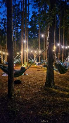 Jaybird Hammock Farm offers a variety of activities to rejuvenate your mind, body, and spirit, including goat yoga, moonlit meditation and sound bath in Pine Forest hammocks and stand up paddle board yoga.  Submitted photo