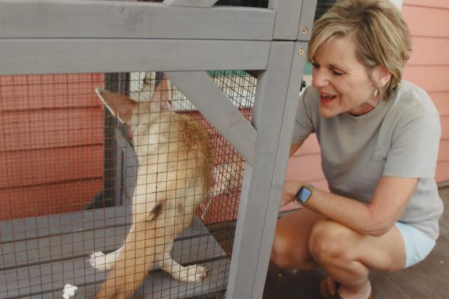 Candy Ramsey interacts with Koa, a fennec fox from The Salty Fox Sanctuary, at the flash-tattoo event held at The Salty Fox Tattoo &amp; Apothecary on Sunday in Downtown Fernandina Beach. Photo by Ashley Chandler