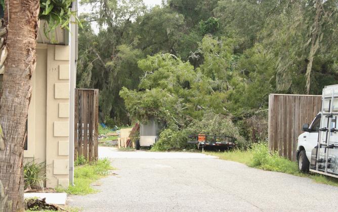 A tree lay on top of Mike Adam's trailer in Fernandina Beach after Hurricane Helene spread tropical storm force winds into Nassau County in the early hours of Friday morning. Photo by Ashley Chandler/News-Leader