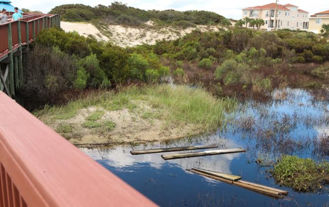 County workers had the majority of debris cleaned up but some debris could still be seen around the county by midday Friday — like here at American Beach. Hurricane Helene blew through Nassau County only hours before. Photo by Ashley Chandler/News-Leader