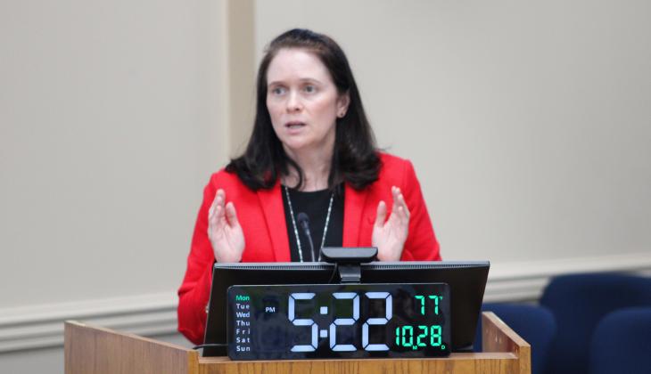 Deputy County Attorney Abigail Jorandby gives a presentation on Nassau County's Municipal Service Taxing Units and Municipal Service Benefit Units on Monday at the Board of County Commissioners meeting. Photo by Julia Roberts/News-Leader
