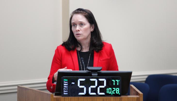 Deputy County Attorney Abigail Jorandby gives a presentation on Nassau County's Municipal Service Taxing Units and Municipal Service Benefit Units on Monday at the Board of County Commissioners meeting. Photo by Julia Roberts/News-Leader