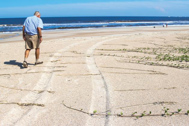 Dave Bowman walks past tire tracks Sept. 17 on the sand behind his house. The tracks go over sea oat stocks from Bowman property he was hoping would spread the grass to more of the dune. Photo by Ashley Chandler/News-Leader
