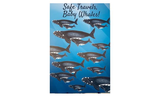 Another initiative by the Whale Ambassadors is an art initiative started by Deb Strobel, in order to promote awareness of the right whale in a fun way. Submitted photo