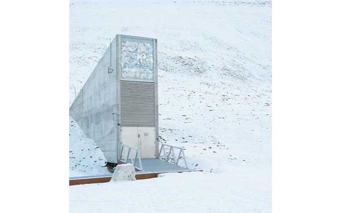 The Svalbard Global Seed Bank Vault is one of many seed banks around the world. Other notable seed banks include The Millennium Seed Bank Project at the Royal Botanical Gardens and the world’s oldest seedbank established in 1894, the Vavilov Institute of Plant Industry in St. Petersburg, Russia. Submitted