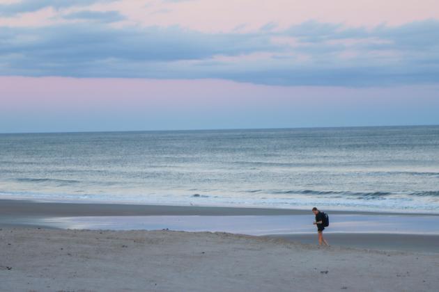 Alyssia Frank looks for shells earlier this month on American Beach. Frank said she often walks on the beach, picking up trash and looking for shells. Photos by Ashley Chandler/News-Leader
