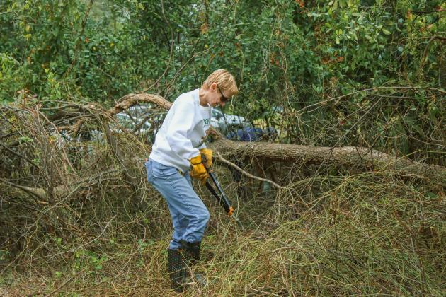 Stephanie Brown clears vines and brush during an Invader Raiders cleanup event in December on city conservation land. The group was working to clear trash, debris and invasive plant species from the property. Photo by Ashley Chandler/News-Leader