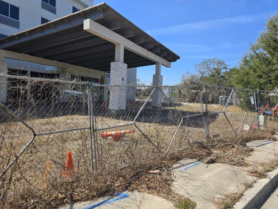 This site, just over the Shave Bridge on Amelia Island, has been found in violation of the codes of Fernandina Beach; the owner has been put on notice by Code Enforcement to clean it up or pay fines. Photo by Julia Roberts/News-Leader