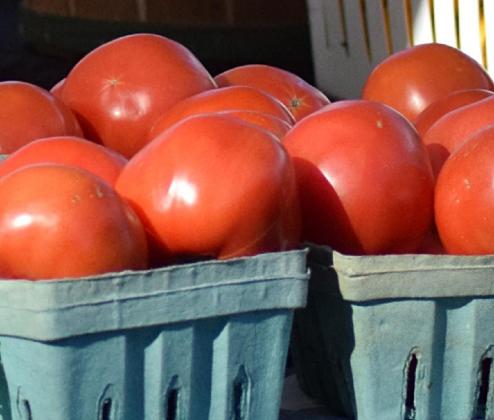 Wildlight skincare vendor Marriah's Homemade Skincare will be featured at the Fernandina Beach Market Place this Saturday, where musician Bryan Jarvis is scheduled to perform. Farm fresh tomatoes will be available for purchase at both the Fernandina Beach and Wildlight market locations. Submitted