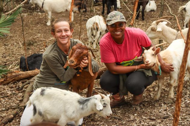Nikki Gunter and Gabrielle McInvale of Goats on the Go interact with goats in their herd in January in Fernandina Beach.Photo by Ashley Chandler/News-Leader