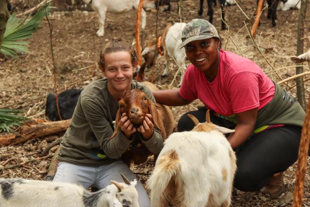 Nikki Gunter and Gabrielle McInvale of Goats on the Go interact with goats in their herd in January in Fernandina Beach. Photo by Ashley Chandler/News-Leader