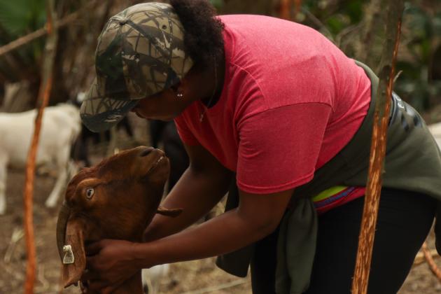 Nikki Gunter, owner of Goats on the Go, interacts with one of her goats in January in Fernandina Beach. Photo by Ashley Chandler/News-Leader