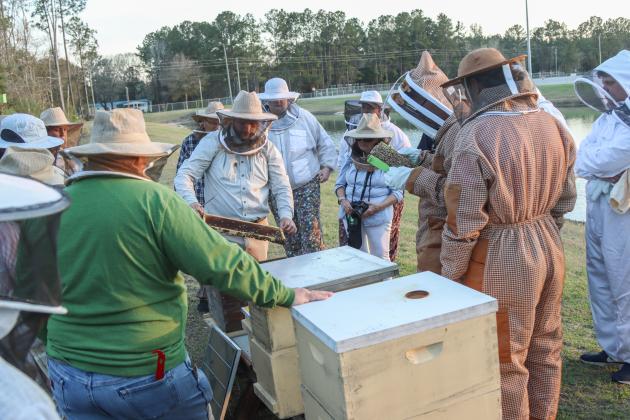 Myron Beachy, president of Nassau County Beekeepers Association, teaches members of the group about beekeeping Feb. 27 at a mentoring session held at the Northeast Florida Fairgrounds. Photo by Ashley Chandler/News-Leader