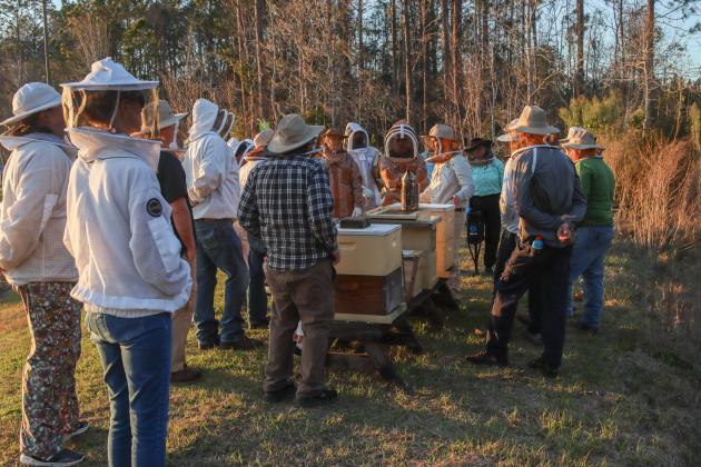 Myron Beachy, president of Nassau County Beekeepers Association, teaches members of the group about beekeeping Feb. 27 at a mentoring session held at the Northeast Florida Fairgrounds. Photo by Ashley Chandler/News-Leader