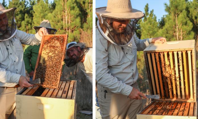 Myron Beachy, president of Nassau County Beekeepers Association, teaches members of the group about beekeeping Feb. 27 at a mentoring session held at the Northeast Florida Fairgrounds. Photo by Ashley Chandler/News-Leader