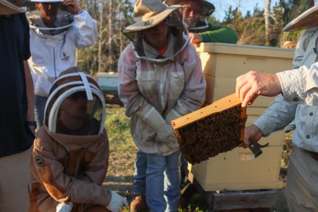 Myron Beachy, right, president of Nassau County Beekeepers Association, teaches members of the group about beekeeping Feb. 27 at a mentoring session held at the Northeast Florida Fairgrounds. Photo by Ashley Chandler/News-Leader