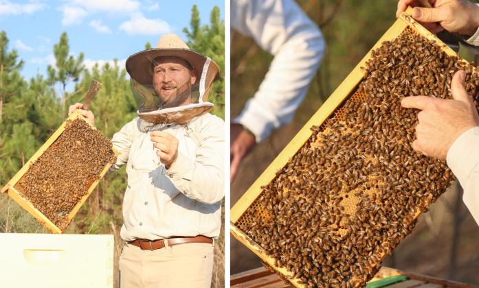 Myron Beachy, president of Nassau County Beekeepers Association, teaches members of the group about beekeeping Feb. 27 at a mentoring session held at the Northeast Florida Fairgrounds. Photo by Ashley Chandler/News-Leader