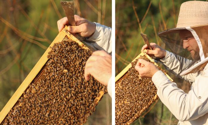 Myron Beachy, president of Nassau County Beekeepers Association, teaches members of the group about beekeeping Feb. 27 at a mentoring session held at the Northeast Florida Fairgrounds. Photo by Ashley Chandler/News-Leader