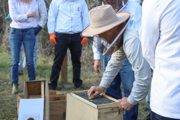 Myron Beachy, president of Nassau County Beekeepers Association, prepares a frame that will go into a nucleus colony box at the Feb. 27 mentoring session held at the Northeast Florida Fairgrounds. Photo by Ashley Chandler/News-Leader