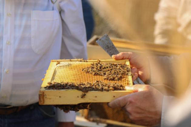 Myron Beachy, president of Nassau County Beekeepers Association, teaches members of the group about beekeeping Feb. 27 at a mentoring session held at the Northeast Florida Fairgrounds. Photo by Ashley Chandler/News-Leader