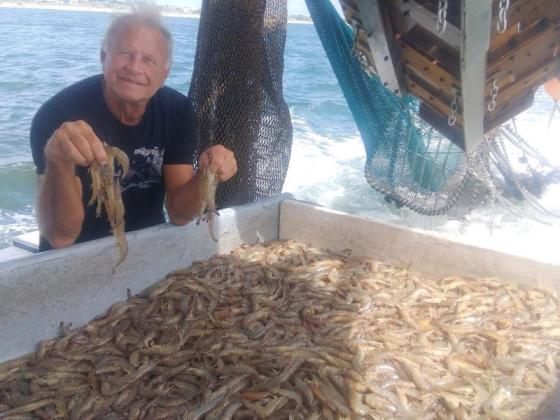 Captain Michael R. Adams runs the Fernandina Beach-based Adams Shrimp and has been named the 2025 Shrimp Festival Grand Marshal. Submitted photo
