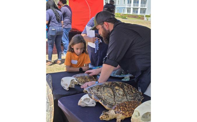 Turtle Fest was held at Main Beach earlier this year. Photo by Julia Roberts/News-Leader