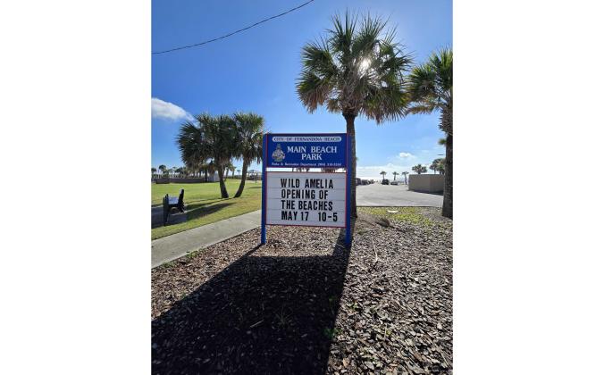 Opening of the Beaches, an event sheduled for Wild Amelia will be held this Saturday at two beachside locations — Main Beach and Peters Point. Photo by Julia Roberts/News-Leader