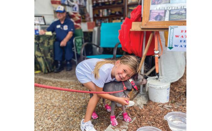 This dog had his feet protected from the hot pavement Sunday with a pair of dog Crocks. Photo by Tracy McCormick-Dishman/News-Leader