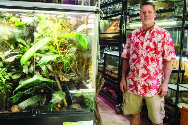 Sam Johnson of Sam's Flying Frog Ranch shows off reptiles and amphibians in his shop located in Yulee. Photo by Ashley Chandler/News-Leader