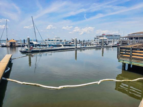 Moran Environmental Recovery uses an absorbent boom at the Fernandina Harbor Marina on Monday after a gasoline spill in the water. How much fuel was spilled and how it will affect water quality has not been released. Photo by Ashley Chandler/News-Leader