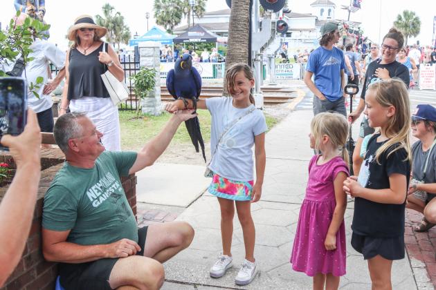 Shrimp Festival hosted a number of pets. Many dogs joined their owners at the events, a racoon was in the parade and one attendee brought his friendly blue macaw to greet visitors Saturday. Top right, this dog had his feet protected from the hot pavement Sunday with a pair of dog Crocks. Photos by Ashley Chandler/News-Leader