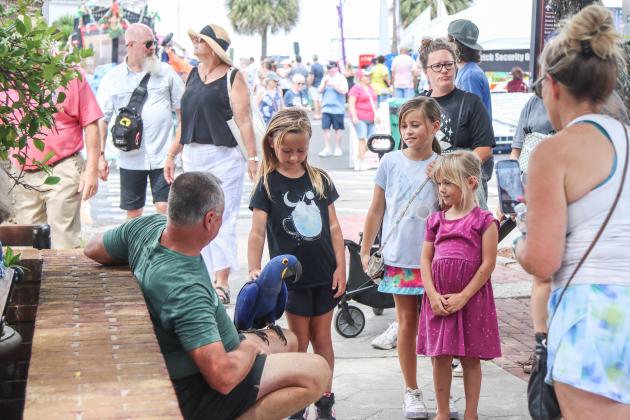 Shrimp Festival hosted a number of pets. Many dogs joined their owners at the events, a racoon was in the parade and one attendee brought his friendly blue macaw to greet visitors Saturday. Top right, this dog had his feet protected from the hot pavement Sunday with a pair of dog Crocks. Photos by Ashley Chandler/News-Leader
