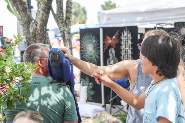 Shrimp Festival hosted a number of pets. Many dogs joined their owners at the events, a racoon was in the parade and one attendee brought his friendly blue macaw to greet visitors Saturday. Top right, this dog had his feet protected from the hot pavement Sunday with a pair of dog Crocks. Photos by Ashley Chandler/News-Leader