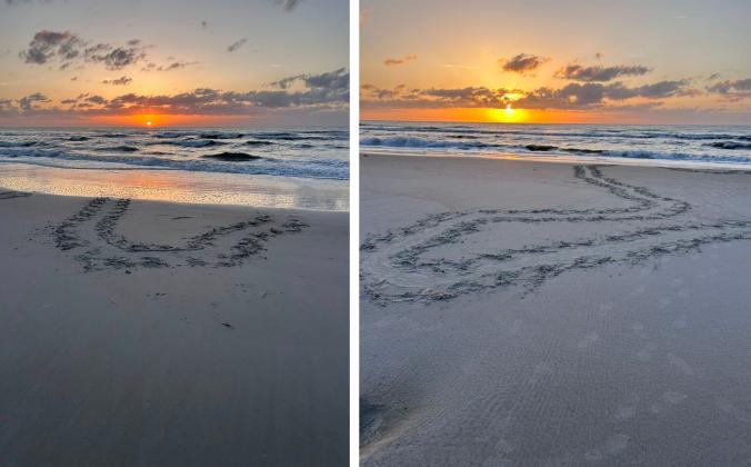 A beachgoer photographed these sea turtle tracks Thursday morning from what appeared to be two false crawls. Mary Duffy of Amelia Island Sea Turtle Watch said it was most likely the same young loggerhead trying to figure things out. Submitted