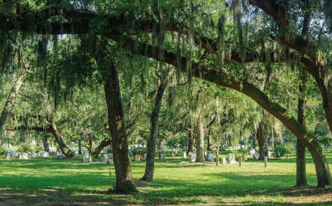The Fernandina Beach City Commission, the Amelia Island Fernandina Restoration Foundation and Terracon, Inc. are seeking to get the historic Bosque Bello cemetery entirely placed on the National Register of Historic Places. (Ashley Chandler/News-Leader)