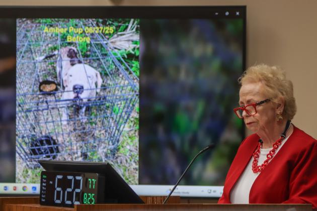 Nassau County Animal Services volunteer Jacque Osborn speaks at Monday’s Board of County Commissioners meeting. Osborn shared photos of a dog named Amber. The “before” showed her at intake, and the “now” showed what she looked like Sunday. The photos, taken two months apart, show a visible difference in Amber’s fur after care at NCAS. Photo by Ashley Chandler/News-Leader