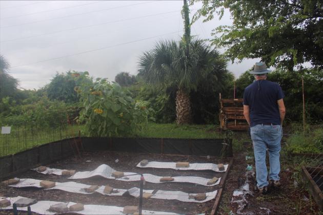 Dan Groth walking through a part of the Airport Garden  By Marisa DeMar/News-Leader