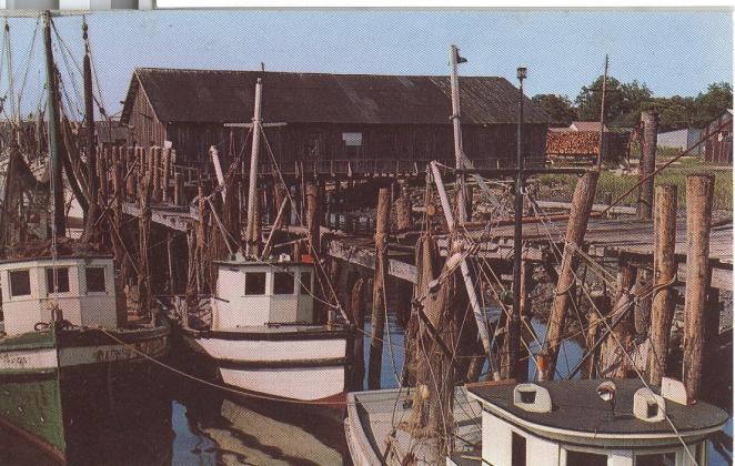 Three shrimp trawlers are tied-up at wharves on the Amelia River north of where the current marina is located.  Photo courtesy of Amelia Island Museum of History 