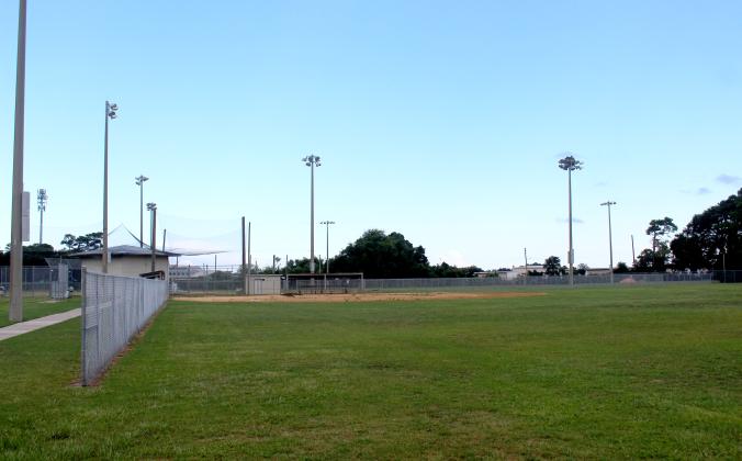 Ybor Alvarez softball fields. Photo by Marisa DeMar/News-Leader