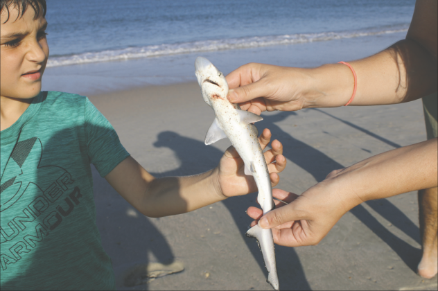 Duncan Davis holding baby shark caught on the exertion. Photo by Marisa DeMar/News-Leader