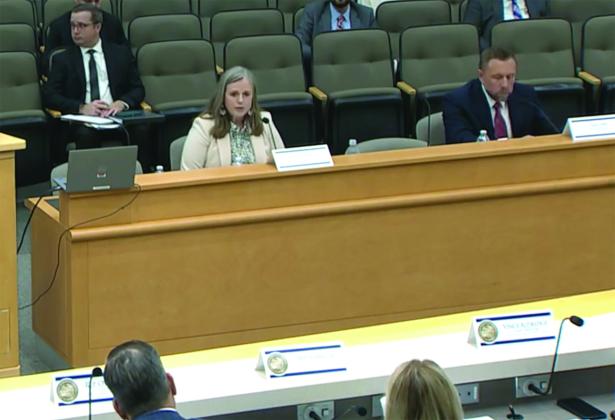 City Manager Sarah Campbell speaks at the House Select Committee on Property Taxes in the Florida House of Representatives on Tuesday.. photo from screenshot