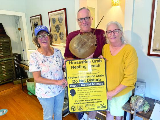 Kathy Mason, Daniel Wilkinson and Julie Wilkinson hold a Horseshoe Crab shell and a warning sign.