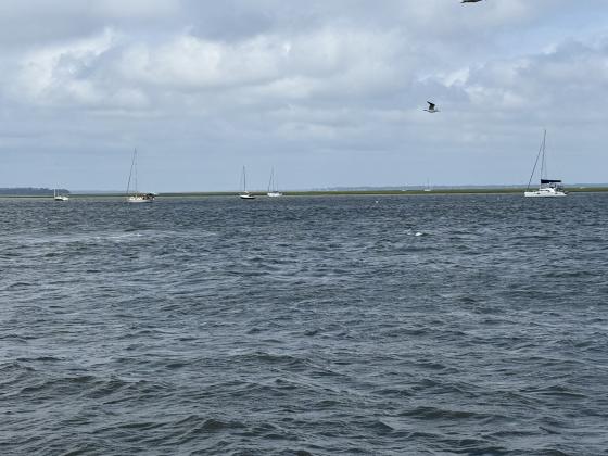 The maximum depth of the Fernandina Harbor is 36 feet.