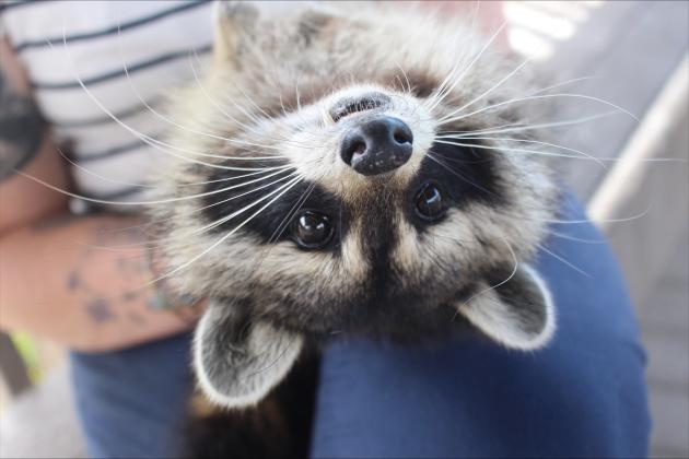 Crystal smiles for the camera. By Marisa DeMar